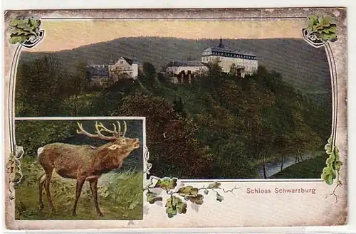 13142 Ak Schloss Schwarzburg in Thüringen 1907