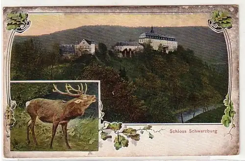 13142 Ak Schloss Schwarzburg in Thuringe 1907