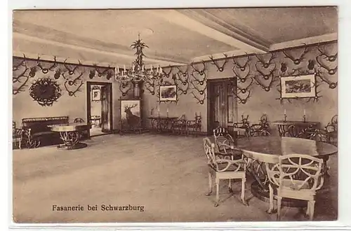 13140 Ak Fasanerie bei Schwarzburg 1926