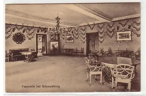 13140 Ak Fasanerie près de Schwarzburg 1926