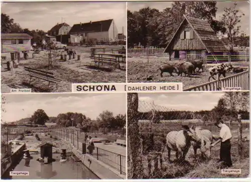12915 Mehrbild Ak Schöna Dahlener Heide 1982