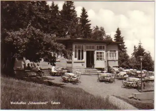 12808 Ak Tabarz Café Wald "Shaunsland" 1974