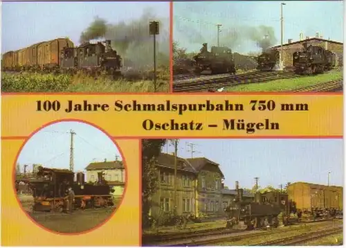 12804 Mehrbild Ak Schmalspurbahn Oschatz Mügeln