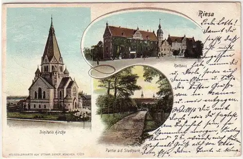 12729 Ak Riesa Rathaus, Trinitatis Kirche, Partie aus dem Stadtpark 1905