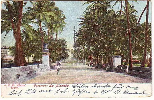 12707 Ak Veracruz La Alameda Mexique 1910