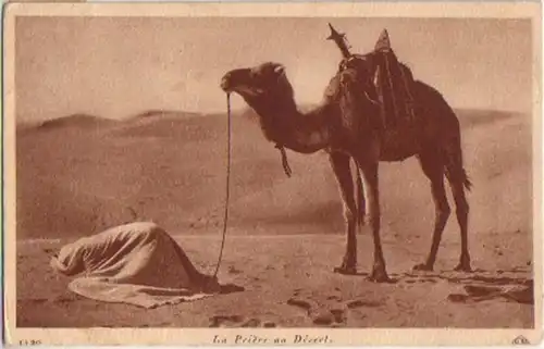 12616 Ak Tunisie Musulman dans la prière, Dromedar, désert 1928