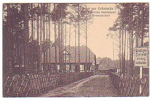 12332 Ak Gruß aus Grünheide i.M. Hundezucht um 1930