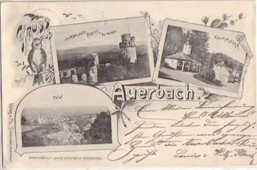 12200 Multiages Ak Auerbach en Hesse 1898