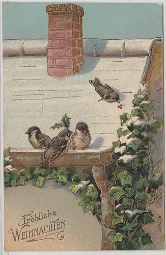 12197 Weihnachten Präge Ak Vögel auf dem Dach 1908
