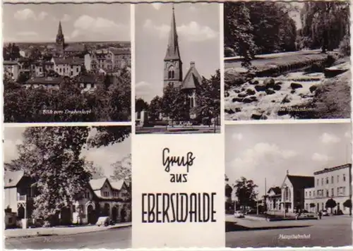 12155 Mehrbild Ak Gruß aus Eberswalde 1959
