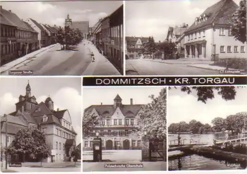 12133 Multiimage Ak Dommitzsch Kreis Torgau