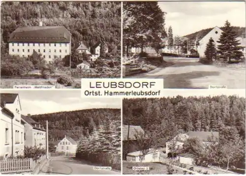 12029 Multi-image Ak Leubsdorf OT HammerleubSdorf 1983