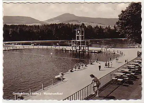 11709 Ak Groschönau (Sachs.) Waldstrandbad 1954