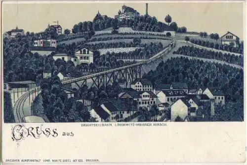 11695 Ak Salutation de Loschwitz Hirsch blanc vers 1900