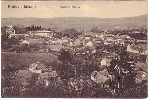 11607 Ak Biskupic Schlesien Totalansicht um 1920