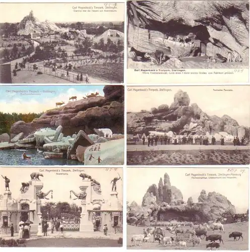 11403/6 Ak Carl Hagenbeck's Tierpark Stellingen vers 1910