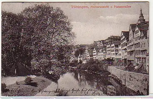 11306 Ak Tübingen Neckaransicht und Platanenallee 1912