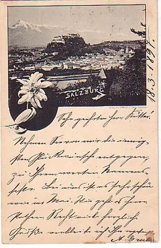 11210 Edelweiss Ak Salzburg Totalansicht 1897