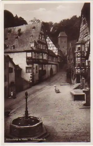 11179 Ak Miltenberg a. Main Schnatterloch vers 1930