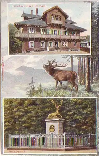 11147 Mehrbild Ak Dambachshaus im Harz um 1920