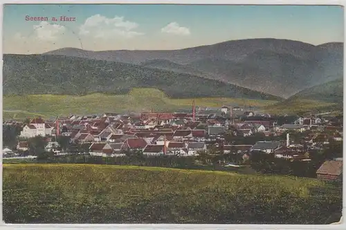 11118 Feldpost Ak Seesen am Harz Totalansicht 1915