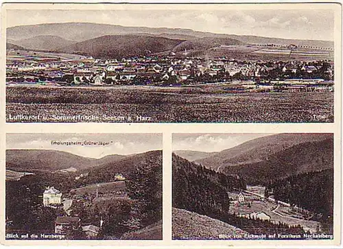 11012 Mehrbild Ak Seesen am Harz um 1940