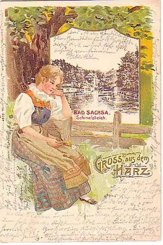 10930 Ak Lithographie Gruss aus dem Harz 1905