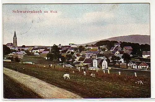 10788 Ak Schwarzenbach am Wald Vue totale 1912