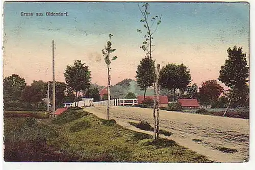 10424 Ak Gruß aus Oldendorf Dorfstrasse 1918