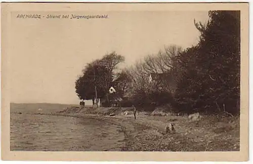 10402 Ak Apenrade Plage près de Jürgensgaardwald vers 1930