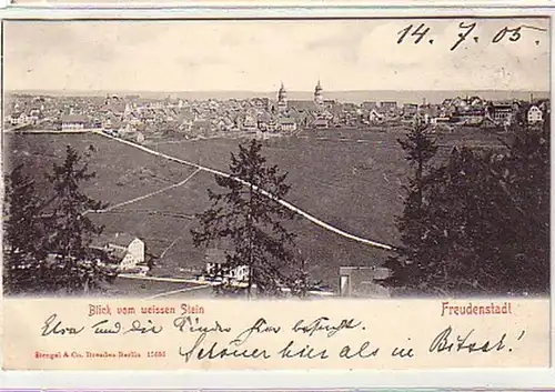 10351 Ak Freudenstadt Blick vom weissen Stein 1905
