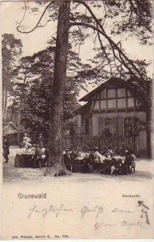 10333 Ak Grunewald Saubigt 1902