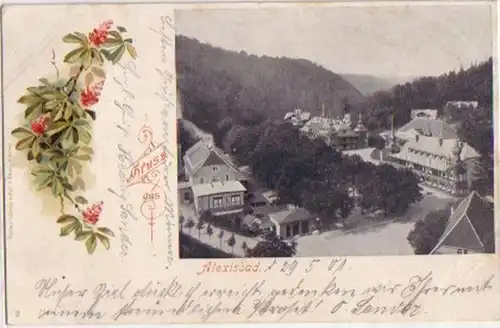 10137 Ak Gruss aus Alexisbad im Harz 1901