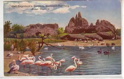 09845 Ak Hamburg Stellingen Hagenbecks Tierpark vers 1910