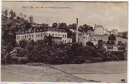 09656 Ak Aue en Saxe Dr. Pillings Sanatorium 1915