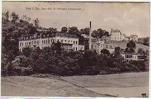 09656 Ak Aue in Sachsen Dr. Pillings Sanatorium 1915