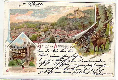 09638 Ak Lithographie Gruß aus Wernigerode 1902