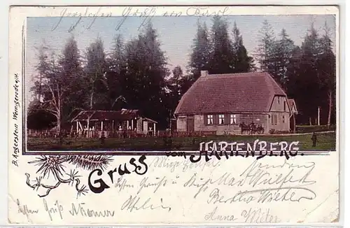 09608 Ak Gruß vom Hartenberg bei Elbingerode 1902