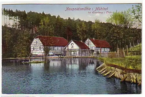 09577 Ak Naupoldsmühle im Mühltal Thüringen um 1910