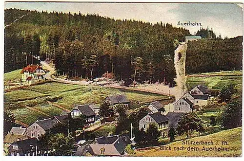 09573 Ak Stützerbach in Thüringen Auerhahn 1911