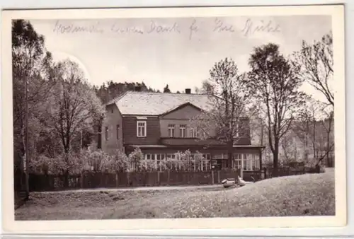 09445 Ak Waldhorn fraîchement frais d'été près de Schleiz 1961