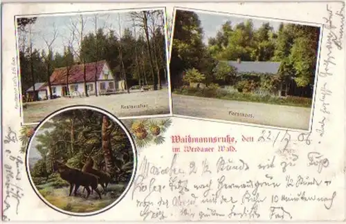09437 Ak Waidmannsruste in Werweit Forêt 1906