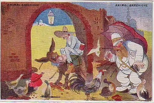 09310 Humor Ak Ägypten "Animal Bakchiche" um 1910
