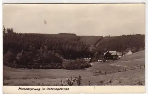 09217 Ak Hirschsprung dans les montagnes de Osterz en 1958