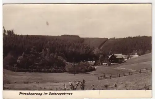 09217 Ak Hirschsprung im Osterzgebirge 1958