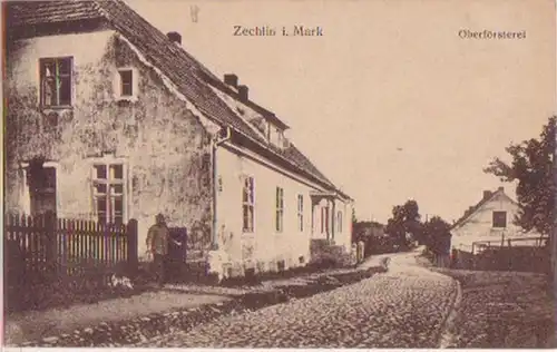 09067 Ak Zechlin i. Mark Oberförsterei um 1930