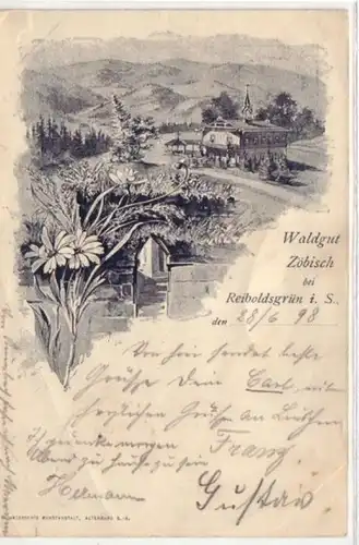 09022 Ak Waldgut Zöbisch bei Reiboldsgrün in Sa. 1898