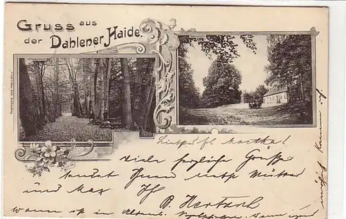 08909 Ak Salutation de la Haider Dahlen 1900