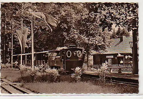 08888 Ak Cottbus Pioniereisenbahn 1961
