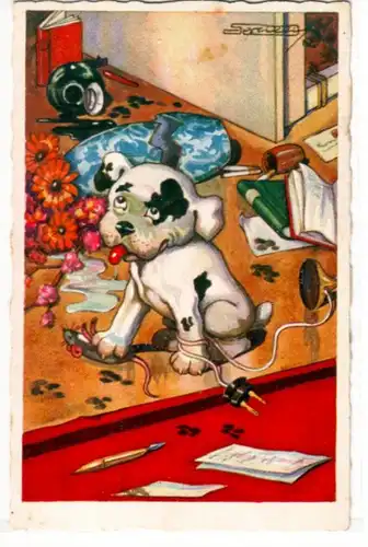 08801 Humor Ak Hund verwüstet Wohnzimmer 1927